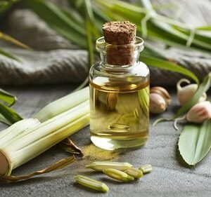 Lemon Grass Oil